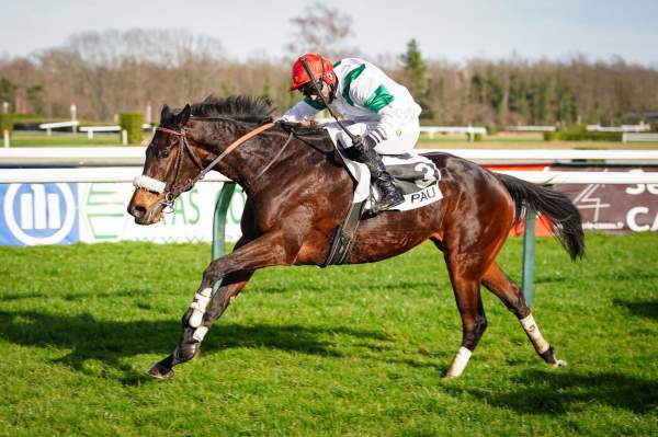 La photo de Deo  Gratias Arrivée Quinté+ Pmu Prix Pierre Estrem Rey à Pau