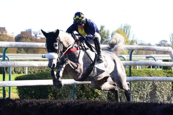 La photo de Ain't Got Wings Arrivée Pick5 PMU Prix Bayonnet à Auteuil