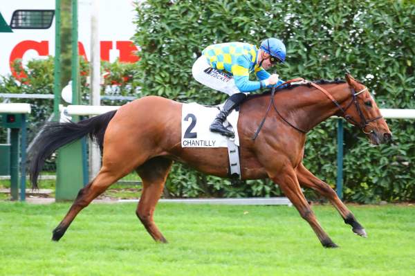 La photo de Coeur De Pierre PRIX DE SEINE-ET-OISE - G3 - HIPPODROME DE CHANTILLY 30/10/2022