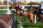 La photo de Hano De Loi Arrivée PMU Prix Claude le Lorrain - Joseph Audon à Auteuil