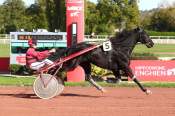 La photo de Hulysse Digeo Arrivée quinté+ Pmu Prix de la Porte Brançion à Enghien