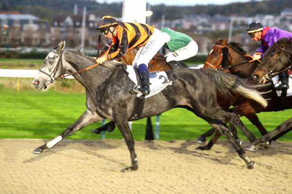 La photo de Prescy Liia PRIX DES PRUNIERS - HIPPODROME DE DEAUVILLE 05/11/2022