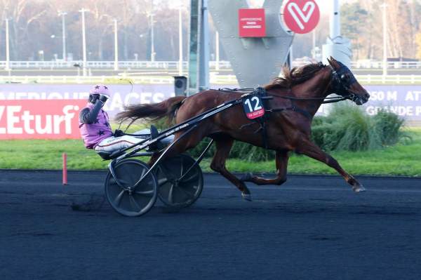 La photo de Hooker Berry PRIX D'AMERIQUE RACES ZETURF Q2 - PRIX DU BOURBONNAIS - CI - G2 - QUINTE + - HIPPODROME DE VINCENNES 11/12/2022