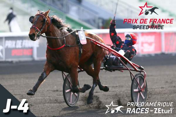 La photo de Delia Du Pommereux Prix d'Amérique Races ZEturf Prix De France 2022