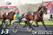 La photo de Davidson Du Pont Prix d'Amérique Races ZEturf, Prix De France 2022