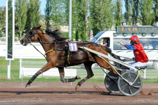 La photo de Fantasia De Ligny PRIX JEAN-MICHEL BAZIRE - QUINTE + HIPPODROME DE VICHY 05/07/2022