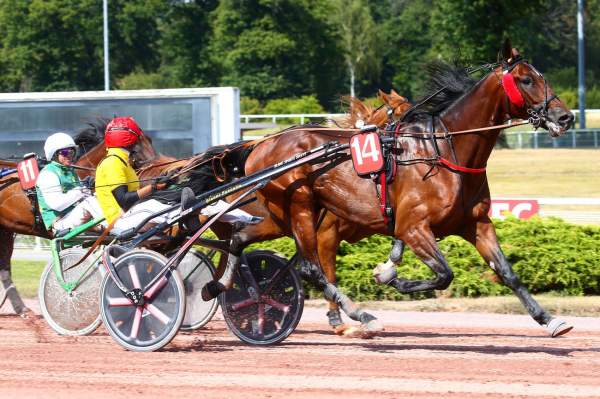 La photo de Instrumentaliste Arrivée Trot PMU Prix du Faubourg Montmartre 2022 à Enghien