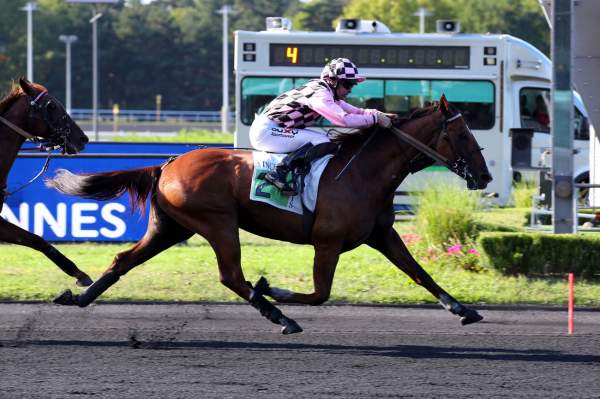 La photo de Fulton PRIX CAMILLE LEPECQ - CI - G2 HIPPODROME DE VINCENNES 27/08/2022