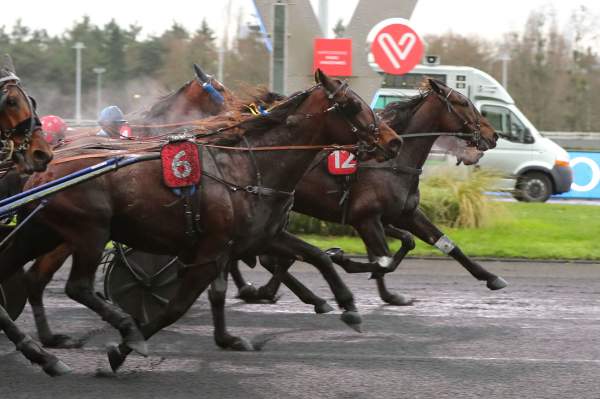 La photo de Irello Arrivée Pick5 Pmu Prix Pierre Raffre à Vincennes