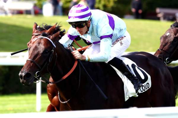 La photo de Quartz Du Houley arrivée PMU Quinté+ Prix de Versailles à Saint-Cloud 