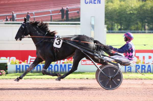 La photo de Happy Danica Arrivée Quinté+ PMU Prix de la Ville de Caen