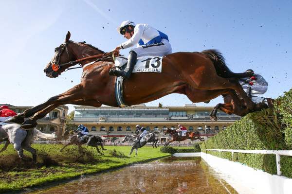 La photo de Rimpoche Arrivée Quinté+ PMU Prix André Adèle à Auteuil