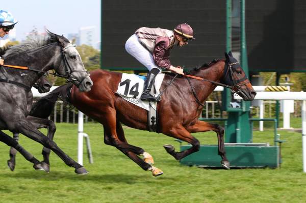 Arriv e du quint Prix du Val d Or mardi Saint Cloud. JUST