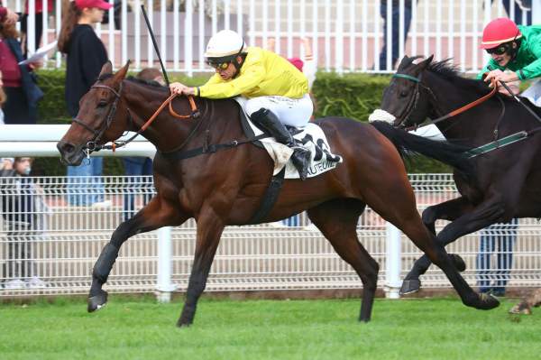 La photo de Chichi De La Vega arrivée Quinté+ PMU Prix du Prince d'Ecouen (LR) à Auteuil