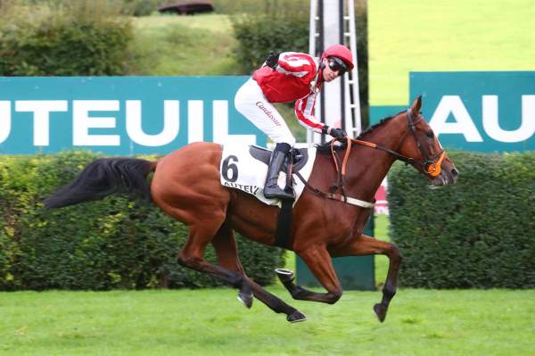 La photo de Incollable arrivée PMU Prix Hero XII à Auteuil