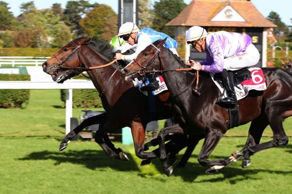 La photo de Perseide Arrivée Quinté+ Pmu Prix Merci aux Partenaires 2023 Prix des Equidays à Clairefontaine