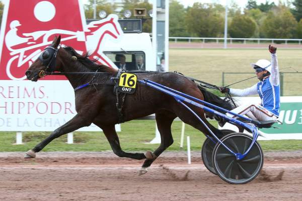 La photo de Gaspar D'angis arrivée PMU 12è Étape du Grand National du Trot à Reims 