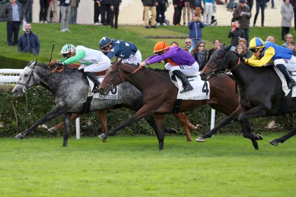 La photo de Lili Blue arrivée Quinté+ PMU Prix de l’Élevage à Saint-Cloud 