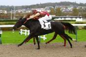 La photo de First Drem arrivée PMU Prix de la Forêt de Cerisy à Deauville