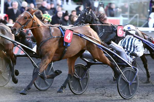 La photo de Katinka Du Mouchel arrivée PMU Prix Guy Deloison (Gr.II) à Paris Vincennes 