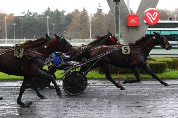 La photo de Give Me Arrivée Quinté+ Pmu Prix de Meslay-du-Maine à Vincennes