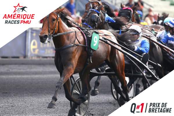 La photo de Ampia Mede Sm Amérique Races Pmu - Prix de Bretagne 2023