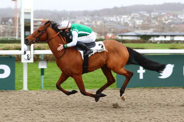 La photo de Ciccio Boy Arrivée Quinté+ Pmu Prix de Giverny à Deauville