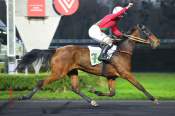 La photo de Kapaula De L'epine Arrivée PMU Prix Raoul Ballière à Vincennes