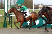 La photo de Variyni arrivée PMU Prix du Carrefour d'Orléans à Chantilly