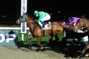 La photo de Jordan Baker arrivée PMU Prix de Saint-Valery-en-Caux à Deauville 