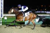 La photo de Parisian Belle arrivée PMU Prix de Veulettes -sur-Mer à Deauville 