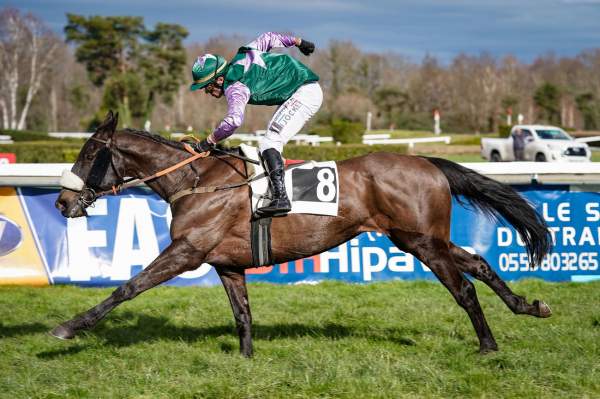 La photo de Black Boa Arrivée Quinté+ Pmu Prix Annie Hutton à Pau