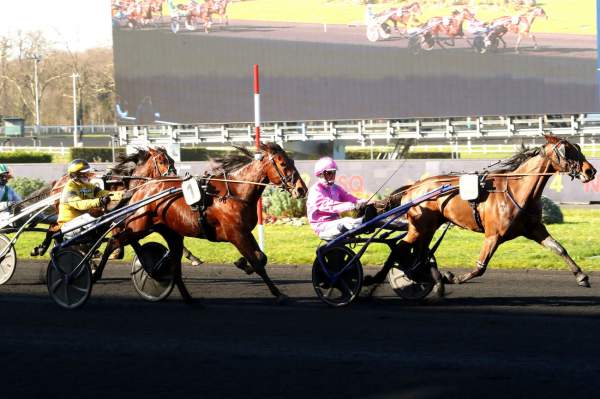 La photo de Jouvence De Carel Arrivée Quinté+ Pmu Prix des Rouges Terres à Vincennes