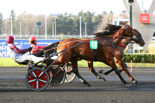 La photo de Koctel Du Dain Arrivée du Prix Pierre de Montesson Criterium des Jeunes Hippodrome de Vincennes 