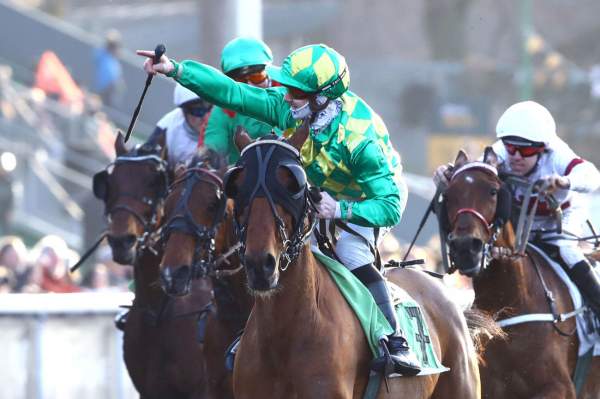 La photo de Chalimar De Guez Arrivée Prix du Pontavice de Heussey Hippodrome de Vincennes 