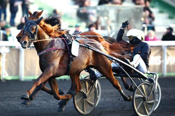 La photo de Jaguar Marancourt Arrivée Prix d'Orthez Gr.III Hippodrome de Vincennes 