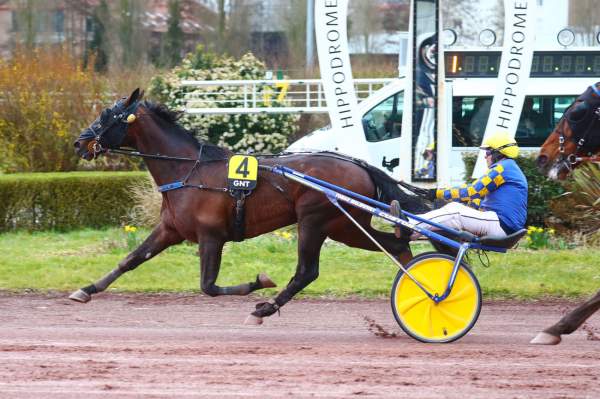 La photo de Howdy Partner Arrivée Quinté+ Pmu étape 1 du G.N.T. à Amiens