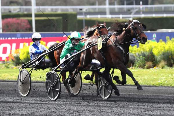 La photo de Hussard Du Landret Arrivée Quinté+ PMU Prix du Bois de Vincennes à Paris Vincennes