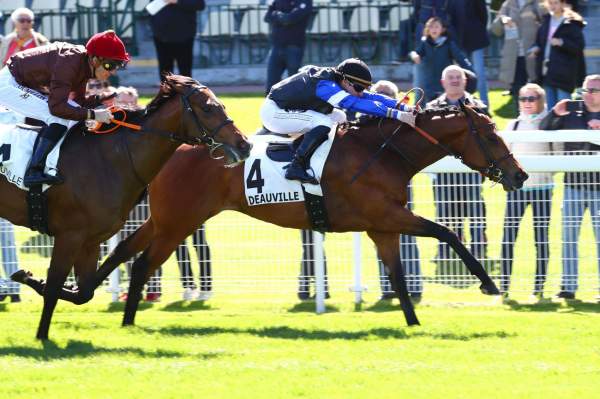 La photo de Good Guess Arrivée course Pmu Prix Djebel à Deauville