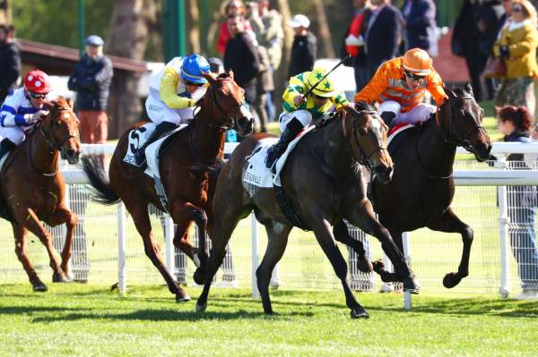 La photo de Showay Arrivée course PMU Prix Imprudence à Deauville