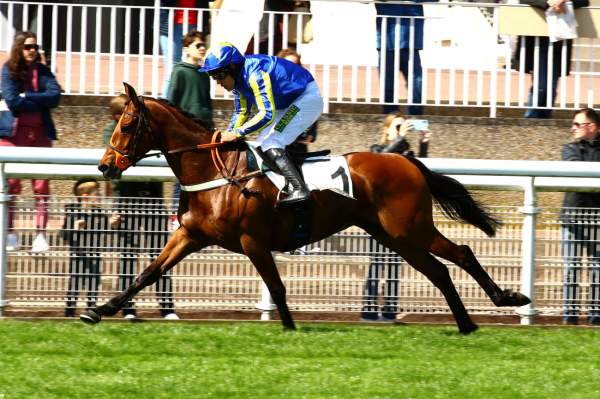 La photo de St Donats Prix de Pepinvast Hippodrome d'Auteuil 