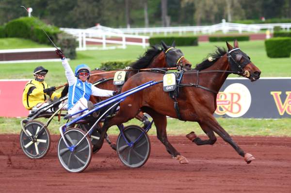 La photo de Gaspar D'angis Arrivée Quinté+ 3ème étape du Grand National du Trot 2023 à Lyon-Parilly