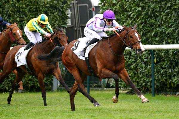 La photo de Game Run Arrivée Quinté+ Pmu Prix de Roissy à Chantilly