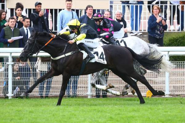 La photo de Lucky One Quinté+ Grande Course de Haies de printemps (Gr.III) Hippodrome d'Auteuil