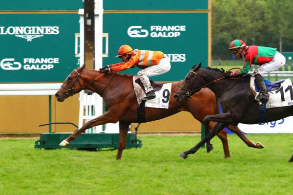 La photo de Splendino Arrivée Quinté+ prix des Epinettes Hippodrome de parisLongchamp