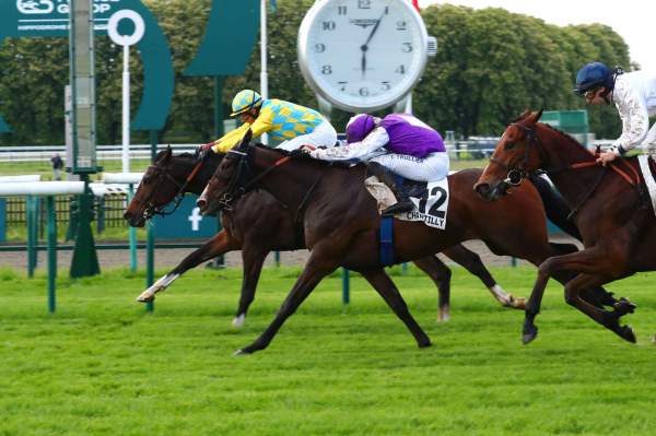 La photo de Greenwood Arrivée Quinté+ Pmu Prix Chantilly Capitale du Cheval