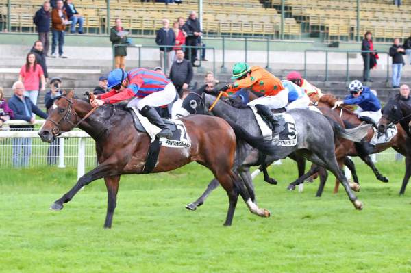 La photo de Glory Of Rome Arrivée Quinté+ Pmu Prix de l'Aqueduc à Fontainebleau