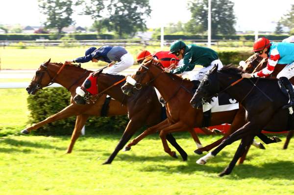 La photo de O Trasno Arrivée Quinté+ Handicap d'Angers Loire Metropole Hippodrome d'Angers 