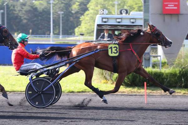 La photo de Kana De Beylev Arrivée Pmu Prix Ozo à Vincennes