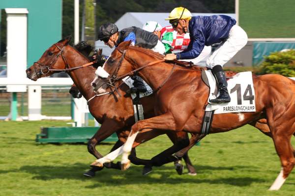 La photo de Haptics Arrivée Quinté Pmu Prix du Nabob à ParisLongchamp